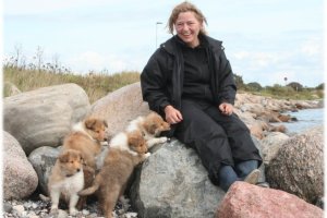 En tur til stranden med colliehvalpene