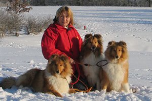 Sne og collies...så skal man tage en pause