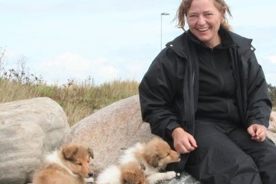 Colliehvalpe fra Topperteam collies
